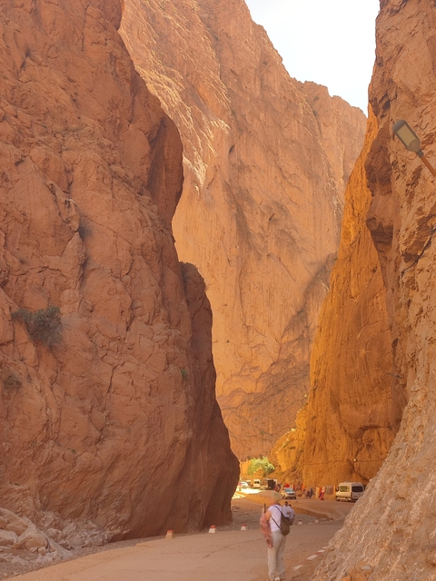       Canyon with orange-hued cliffs.
  