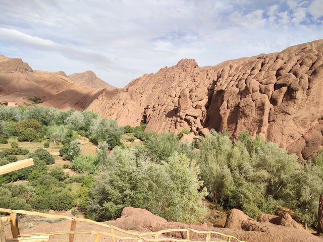      Rocky landscape with greenery.
  