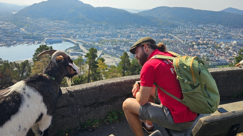 Man sitting on a bench overlooking a cityscape with a goat nearby.