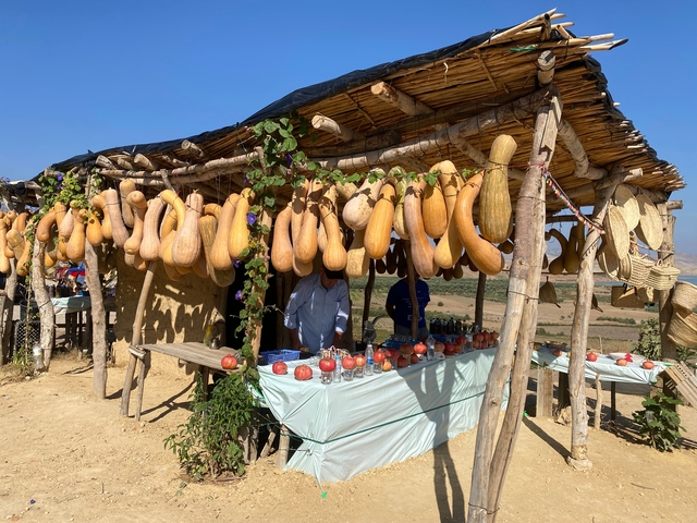       Outdoor fruit and vegetable stand with hanging gourds.
  