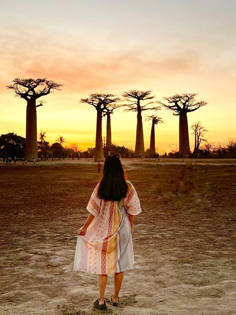       Person watching the sunset with baobab trees.
  