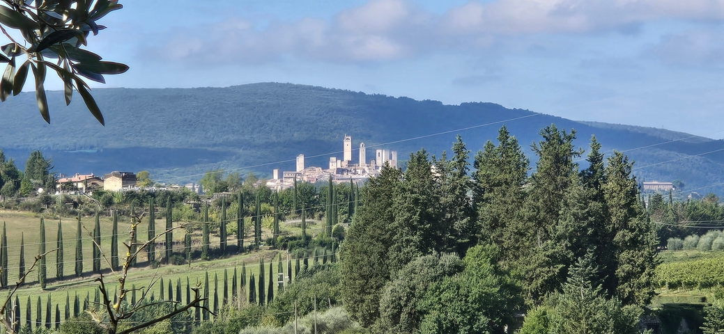       Tuscan landscape with cypress trees and a hilltop town
  