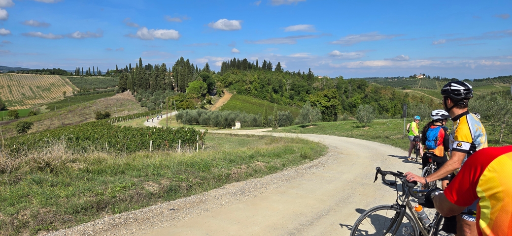       Cyclists on a rural road with vineyards and rolling hills under a blue sky.
  