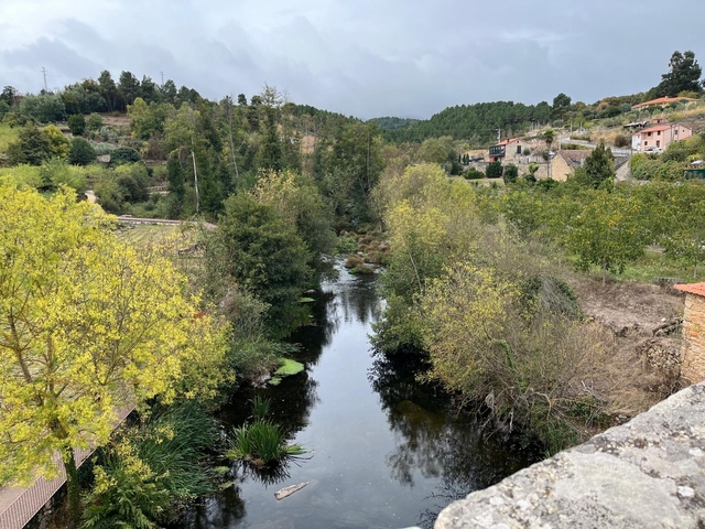 River surrounded by dense trees and foliage.