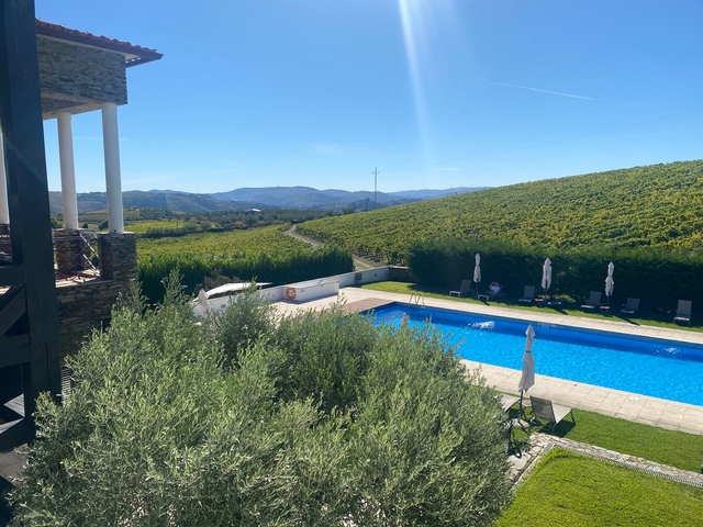       Hotel pool with vineyards in the background.
  