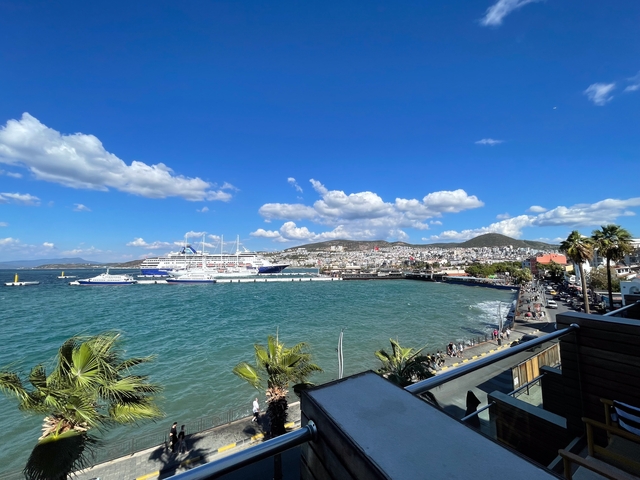 A scenic coastal view with ships and palm trees.