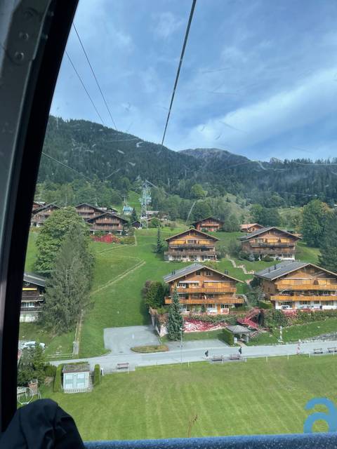 Cable car view of chalets and trees on a hillside