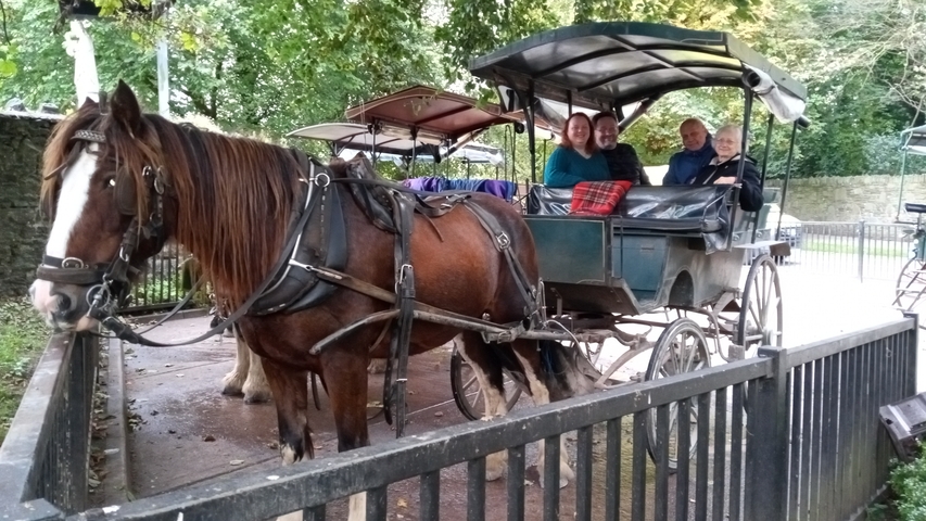 A horse-drawn carriage with passengers.