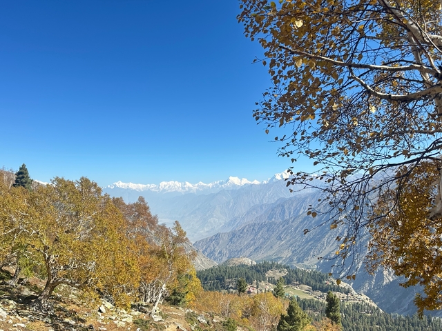 Valley with mountain range and autumnal trees.