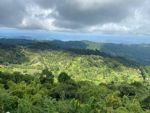       Rolling green hills and dense tropical forest stretch beneath a cloudy sky with distant sea on the horizon.
  