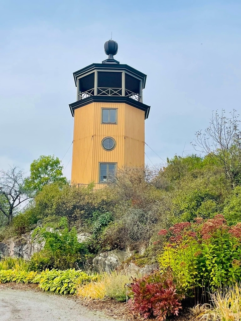 Yellow truss tower surrounded by vegetation.