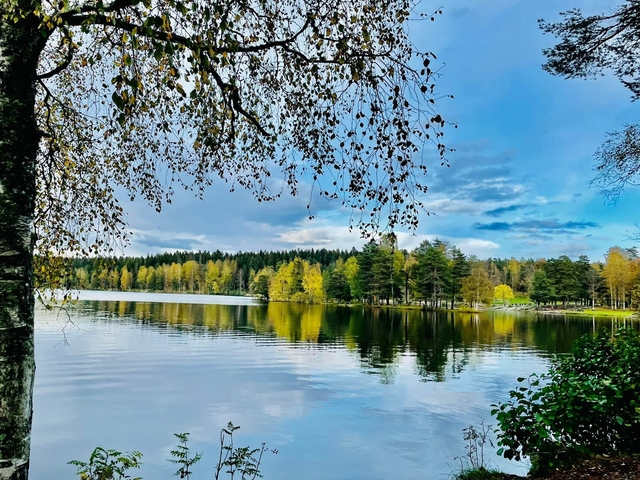 A serene lake with reflections of trees and a clear sky.