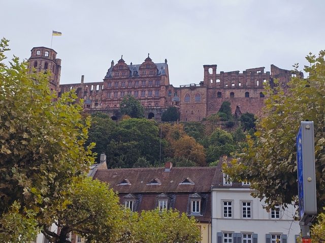 Historic castle on a hill surrounded by trees.