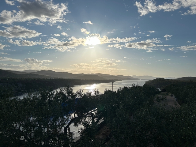       River view at sunset with olive trees in the foreground.
  