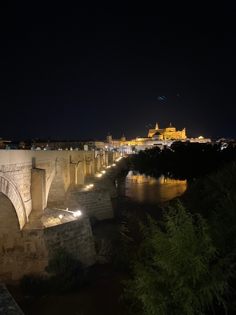       Historic bridge lit up at night with a cityscape in the background.
  