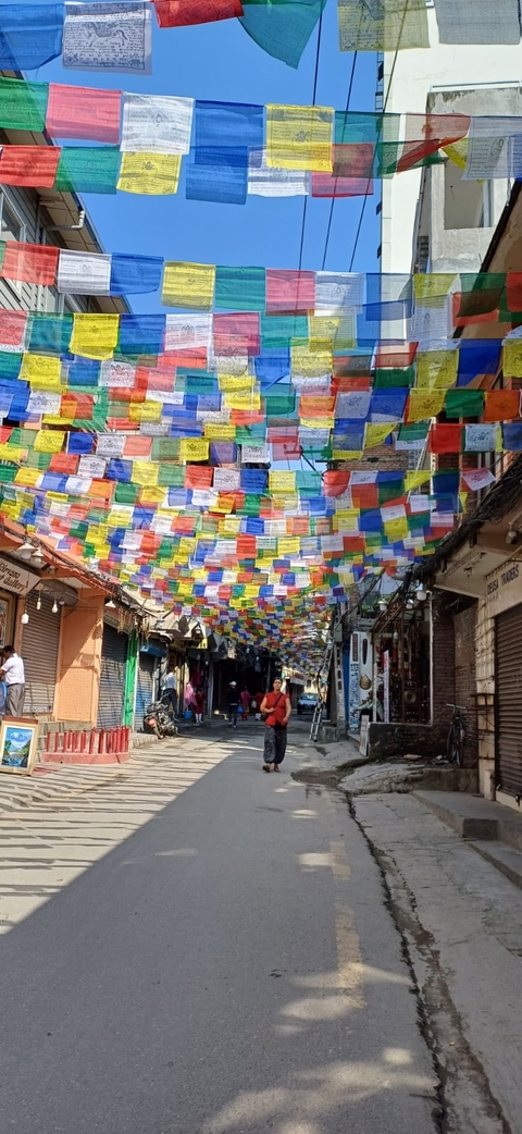 Ghorepani Ghandruk Trek (Poon hill trek, Annapurna sunrise view trek) customer review photo 