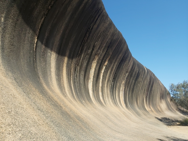 Wave Rock formation with a clear blue sky
