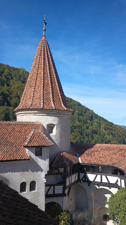       Stone turret and tiled roof with wooded hills in the background.
  