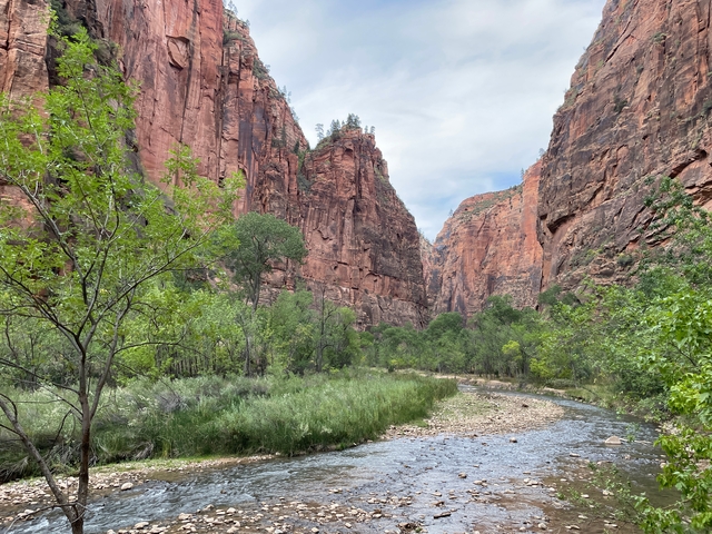       Zion National Park's canyon landscape with river and greenery.
  