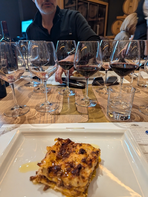 Wine tasting setup with glasses of red wine