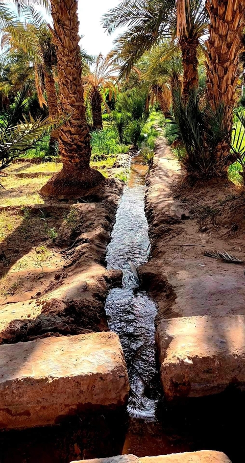 Small water channel in a rustic setting