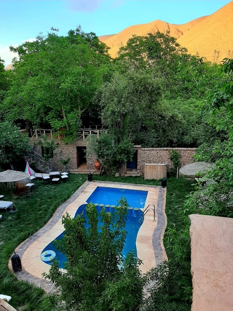 Pool surrounded by lush greenery and rustic architecture
