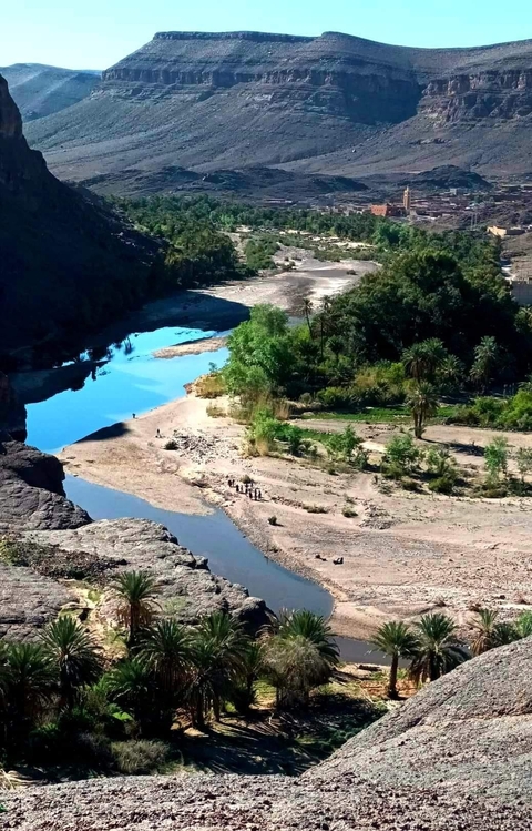 Scenic view of a river surrounded by greenery
