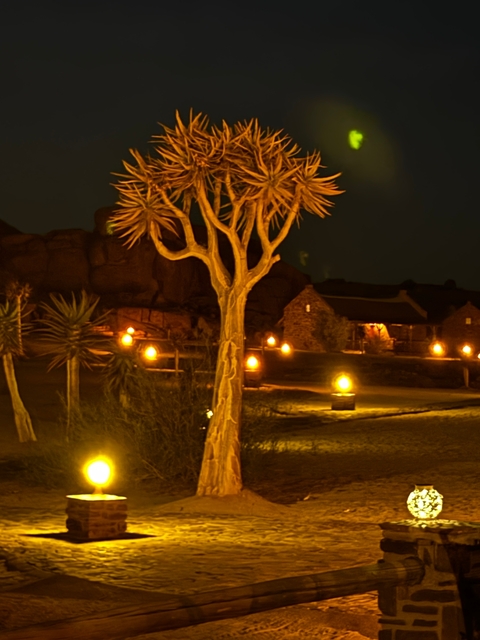       Night scene with glowing lights and a tree.
  