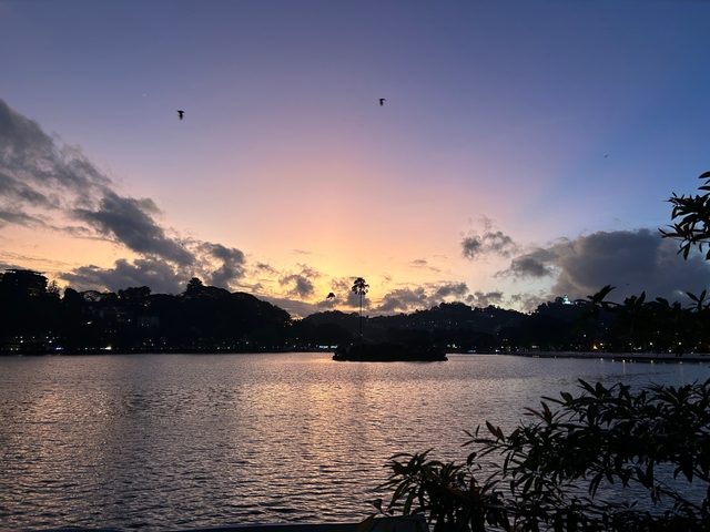       Beautiful sunset over a lake with silhouetted trees.
  
