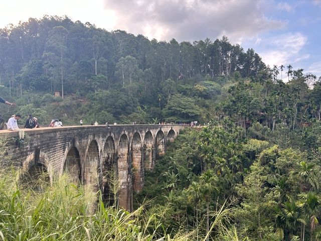       Scenic bridge in a lush green forest with people walking.
  