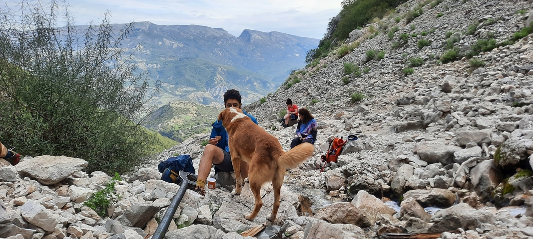       Hikers taking a break on a rocky trail with a dog.
  