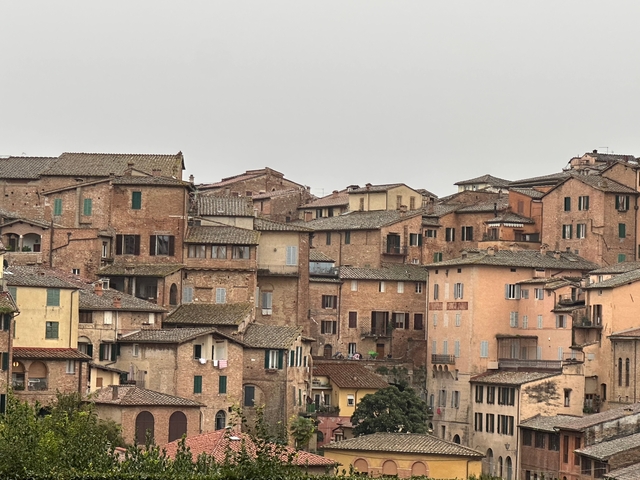 Historical buildings with terracotta roofs in a dense layout.