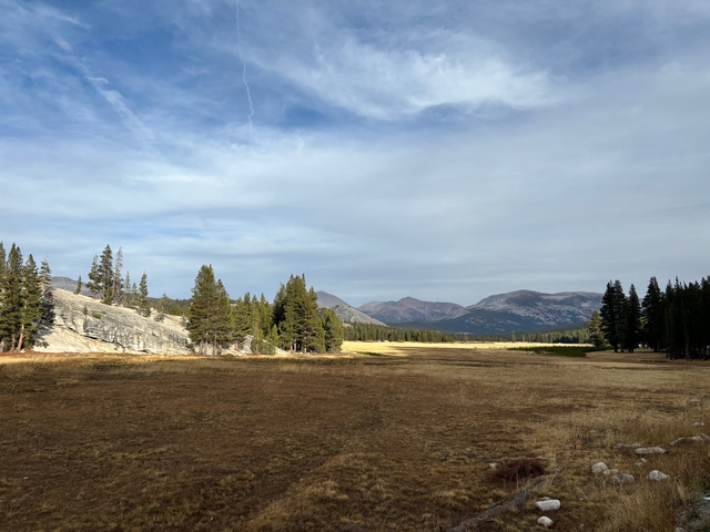 Open meadow with distant mountains in Yosemite.