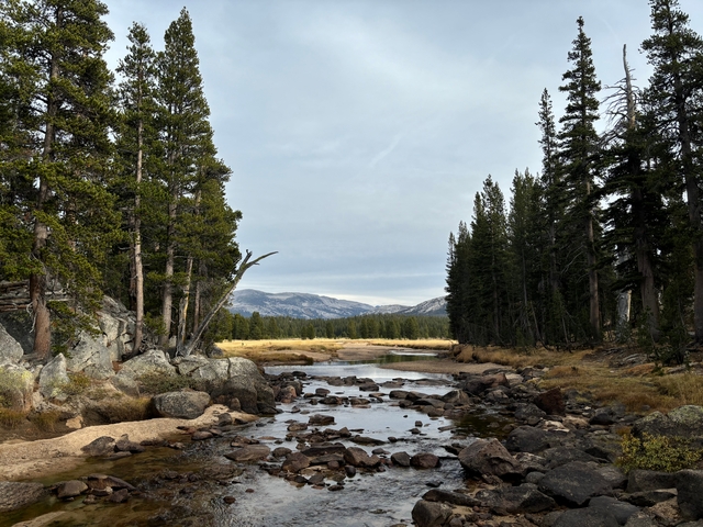 Rocky river with mountain backdrop in Yosemite.