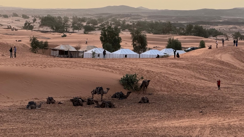 Desert landscape with camels and tents at dusk.