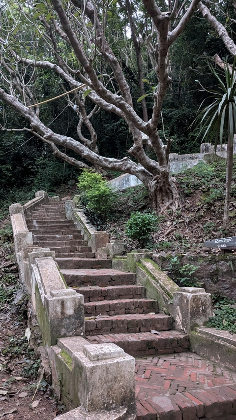       Stone staircase surrounded by trees and vegetation.
  