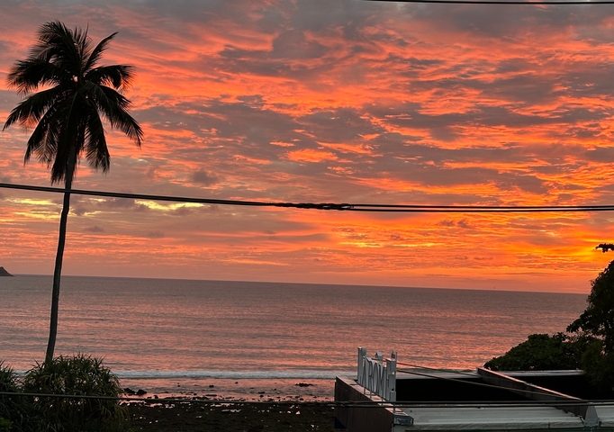 Vibrant sunset over the ocean with silhouetted palm tree.