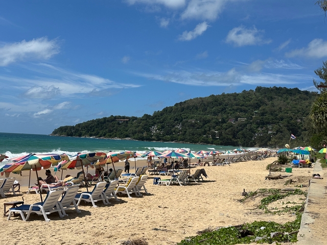 Beach with deckchairs and colorful umbrellas, trees, and hills in the background.