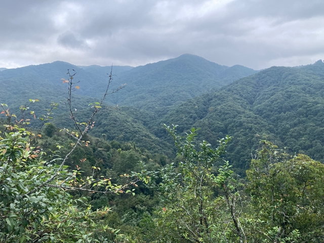       Lush green mountains under a cloudy sky.
  