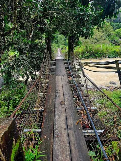 Suspension bridge over a river amidst greenery.