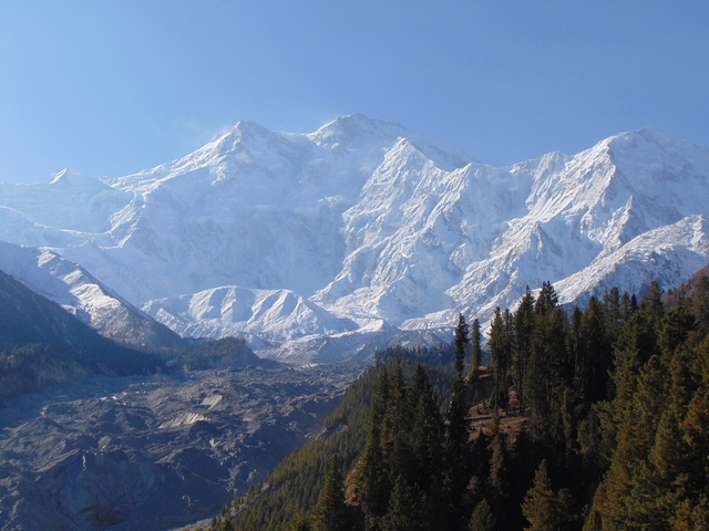 Expansive view of snowy mountains and forest below.