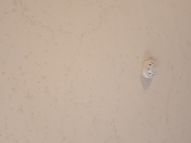       Plain wall with a smoke detector.
  