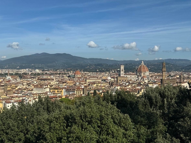       Panoramic view of Florence with iconic dome.
  