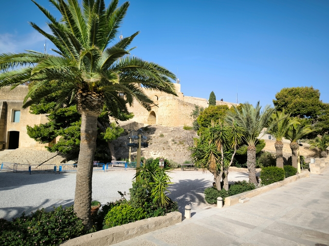 Castle with palm trees and blue sky.