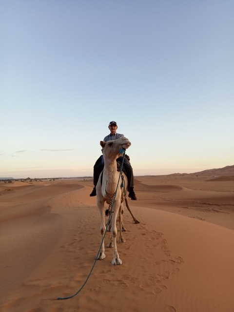       Man riding a camel in the desert at sunset.
  