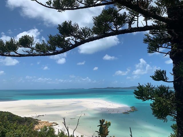 Stunning view of a tropical beach with turquoise water.