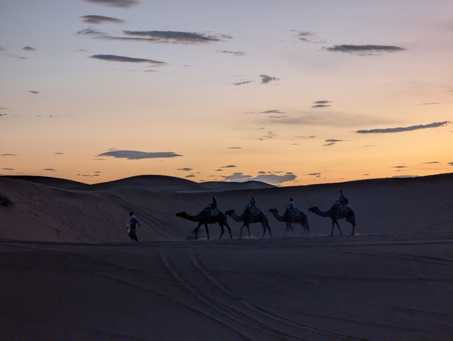 Camel caravan guided by a person at sunset in the desert.