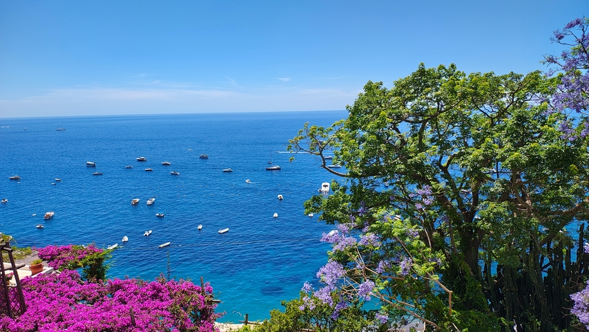       Sea view with trees and pink flowers in the foreground.
  