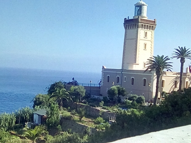 Lighthouse close to the sea with surrounding vegetation.