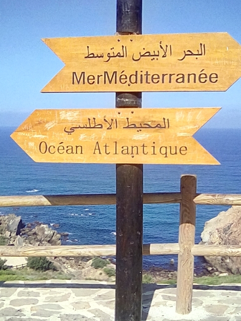 Wooden sign pointing towards the Atlantic Ocean with ocean view in the background.
